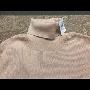 Ann Taylor ribbed turtleneck